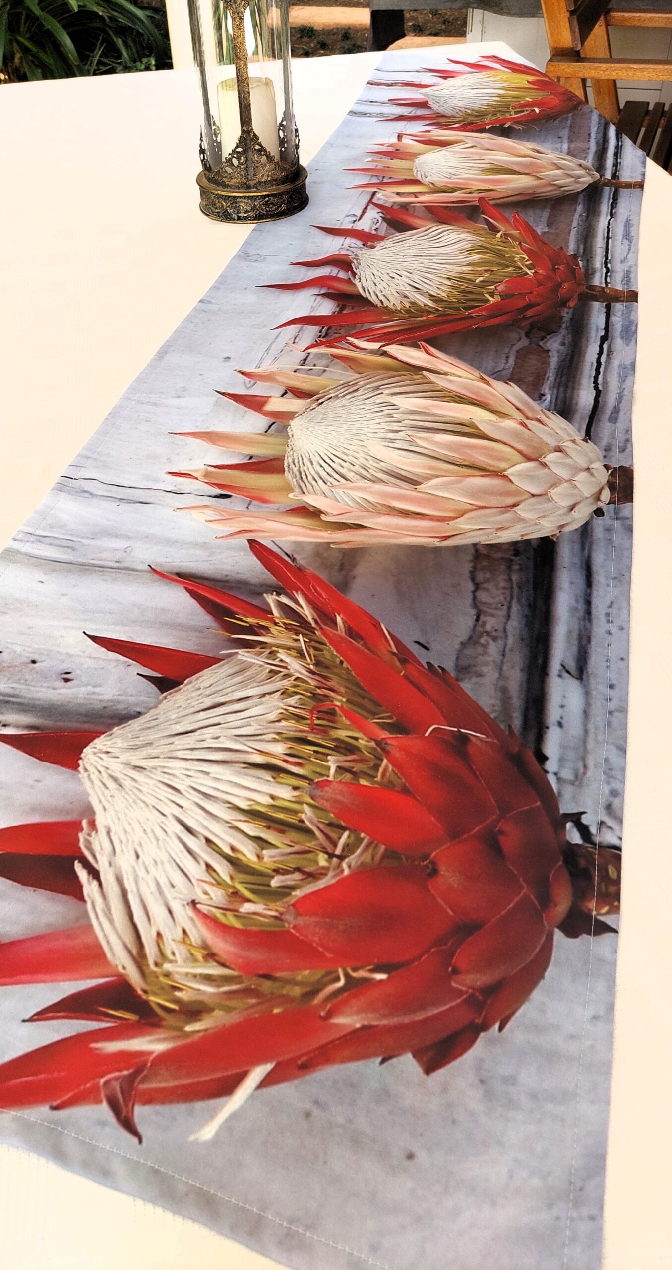 Proteas On Wood | Suikerbos Linne